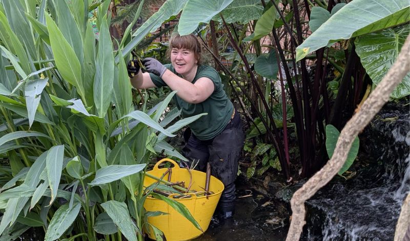 It's National Gardening Week and time to #getcurious! article image